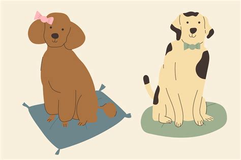 Spay vs. Neuter: What's the Difference?