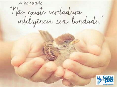 O Que Significa Bondade - A bondade - Gotas de PazGotas de Paz