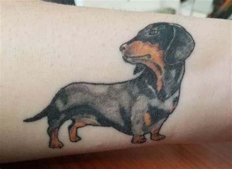 Dachshund Tattoo Design