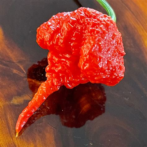 Fresh Super Hot Peppers