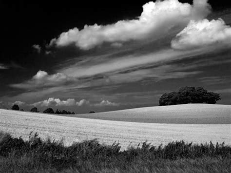 fran faerg  svartvitt  guider foer att fa de snyggaste svartvita