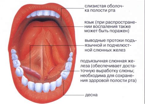 Рак полости рта: симптомы и лечение