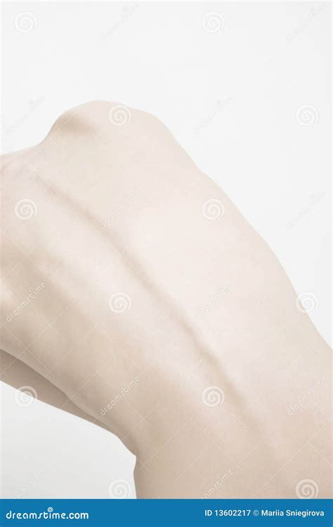 thin woman stock image image  figure curvature