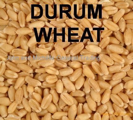 Durum Wheat products,South Africa Durum Wheat supplier