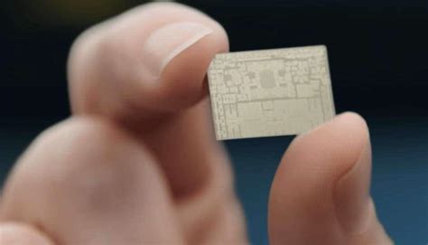 alles wat je moet weten  de  chip