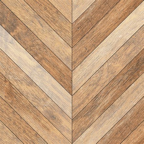 oregon green austrian pine tree 8