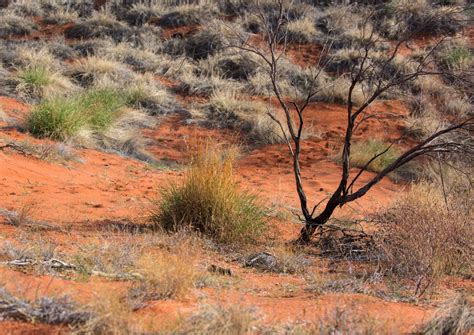 map of deserts in australia 7