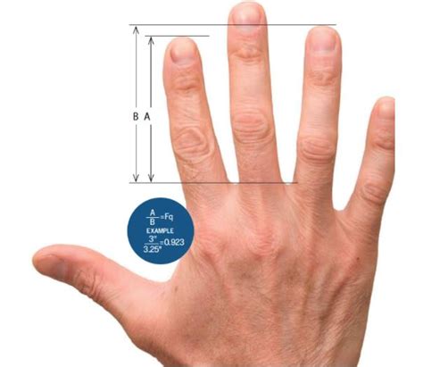 rhondas escape feminine differential digit ratio