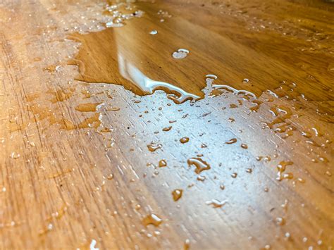 How to Detect and Prevent Water Leaks in the Home - Elk Grove Village