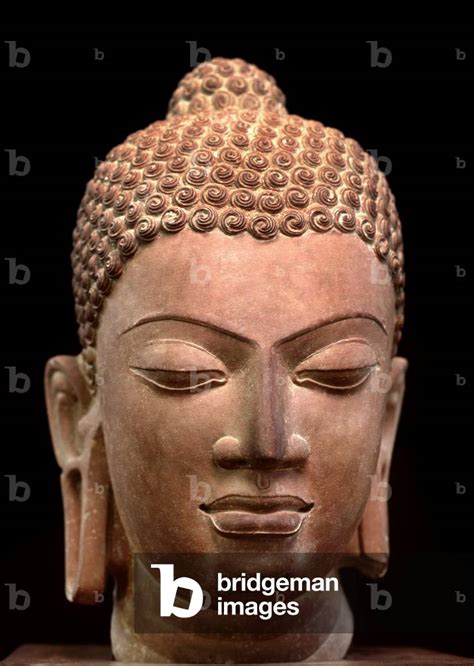 image  buddha sculpture  mathura uttar pradesh india gupta