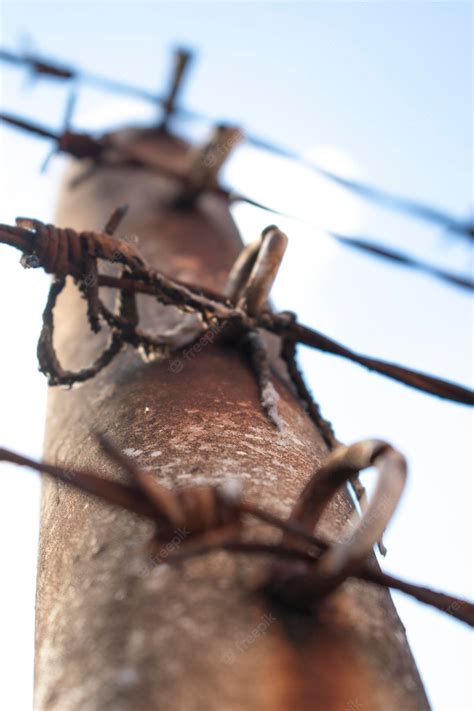 Premium Photo | Alambre