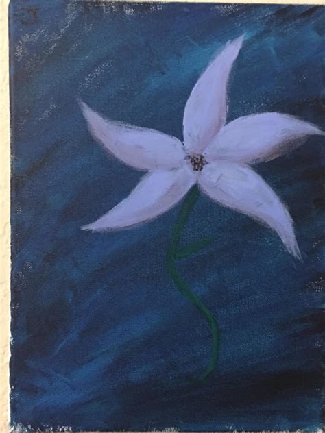 Star flower by Latias-gem on DeviantArt