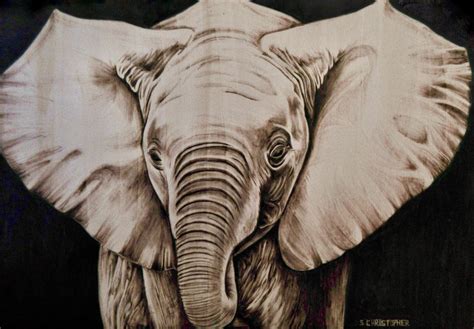 elephant  schristopher  newgrounds