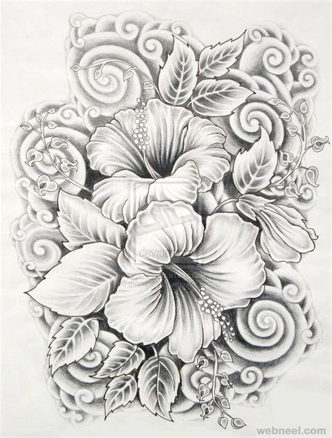 45 Beautiful Flower Drawings and Realistic Color Pencil Drawings