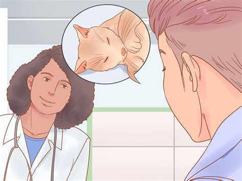 How to Reduce Stress in Cats (with Pictures) - wikiHow