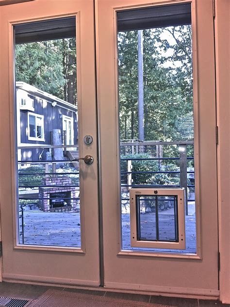 The Benefits Of Having An Exterior Glass Door With A Dog Door - Glass