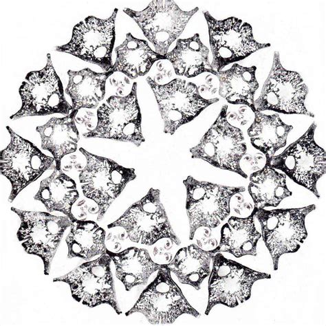 anticorpi opera  stampa manuale della giovane artista flavia