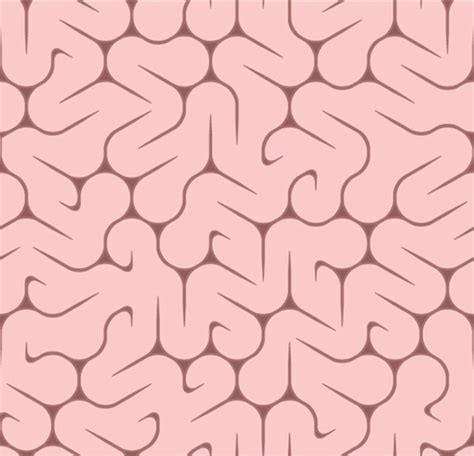 brain surface pattern images stock   objects vectors