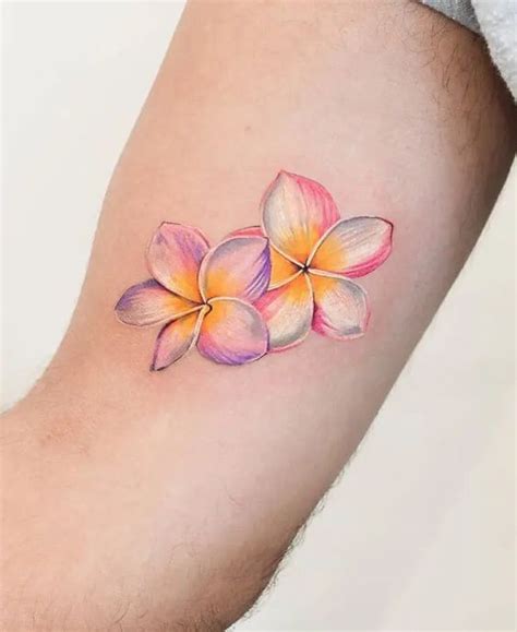 plumeria tattoos    good fit
