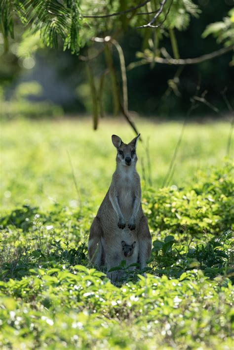 Thick+Mommy+Thighs Photos, Download The BEST Free Thick+Mommy+Thighs