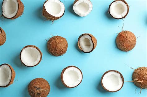 Coconut: Nut, Fruit, or Both? Unlocking the Truth! - Hunter Games Magazine