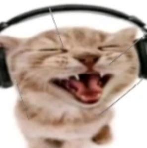 кот на белом фоне - Создать мем - Meme-arsenal.com