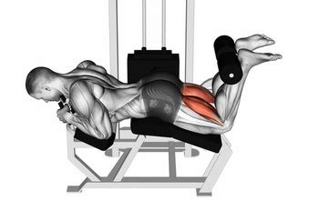 lying leg curls hamstring training secrets  people