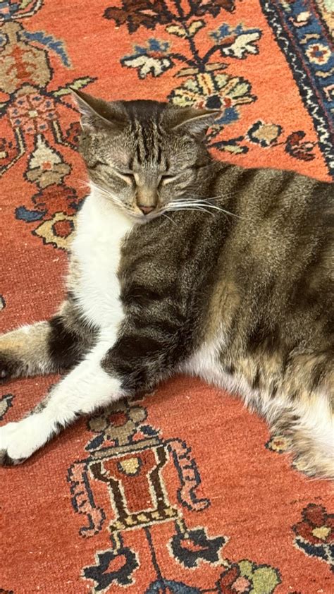 (@sammyjjo) • Instagram photos and videos