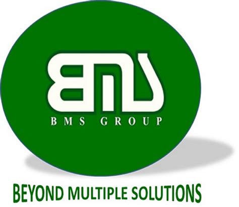 bms group singapore