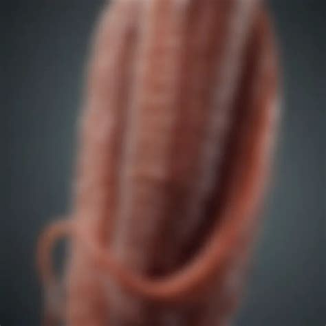 Understanding Canine Helminths: Common Dog Worms