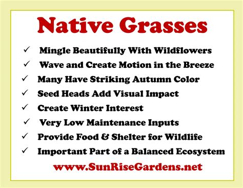 Missouri Native Gardens