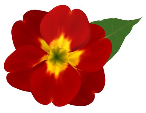 primrose clipart free 10 free Cliparts | Download images on Clipground 2026