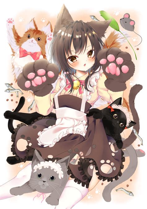 [200+] Anime Cat Pictures | Wallpapers.com