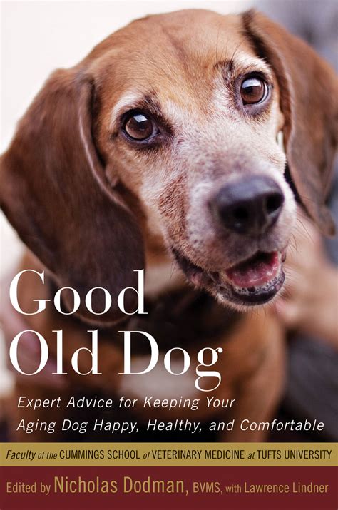 Helping Your 'Good Old Dog' Navigate Aging : NPR