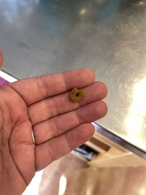 Experts explain why there is 1 major flaw in the plan 18