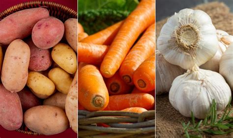 Cenoura Com Broto Pode Comer - Batata, cenoura, cebola, alho... Alimentos com brotos podem ser comidos?