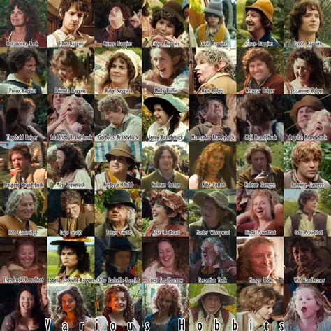 hobbits   shire   info  peter jacksons  hobbit
