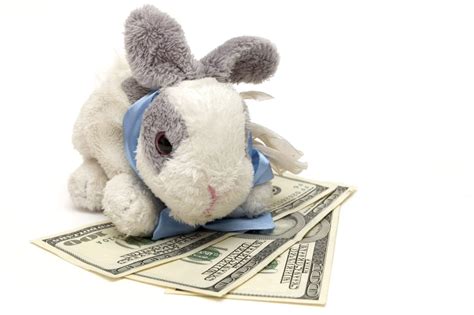 rabbit finance    today     buy rabbit coin
