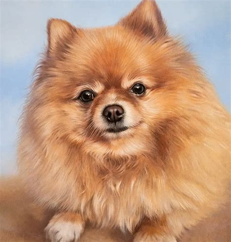 Pet Portraits in Oils & Pencil – Melanie & Nicholas | 25+ Years of Fine Art