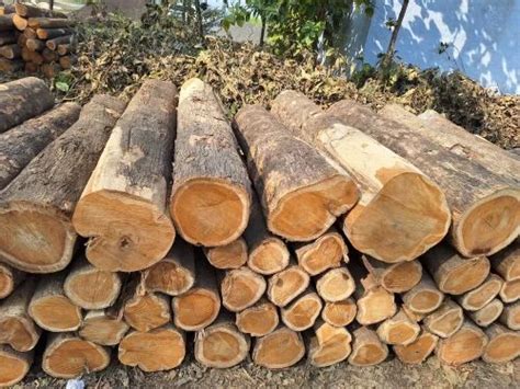 teak wood  rs cubic feet teak  chennai id
