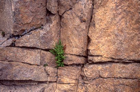 Weathering - Erosion: Water, Wind & Weather (U.S. National Park Service)