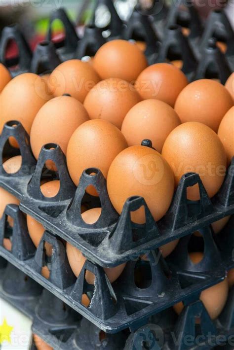 eggs  egg box  stock photo  vecteezy