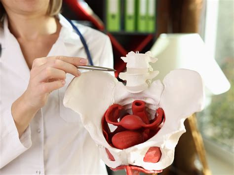 Pelvic Care | Enzo Group