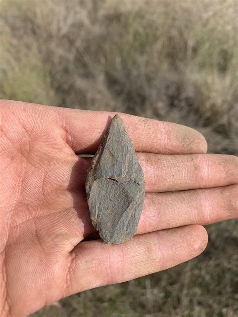 The Weekend Awaits! Happy Hunting Everyone:) : r/LegitArtifacts