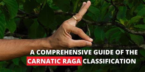 A Comprehensive Guide of the Carnatic Raga Classification | Listicles