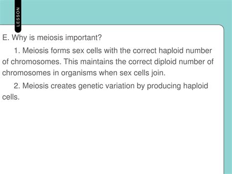 PPT - The Cell Cycle and Cell Division PowerPoint Presentation, free