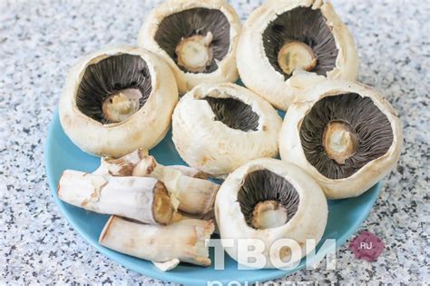Шампиньоны с курицей и сыром - вкусный рецепт с пошаговым фото
