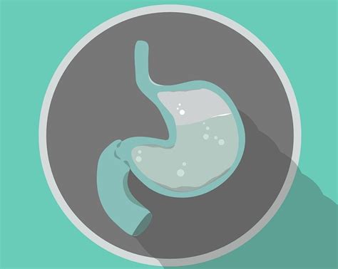 boston scientific expands  endobariatrics  launch  apollo esg