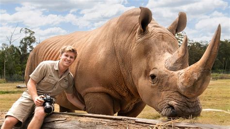 wildlife warrior robert irwin   named gqs social force