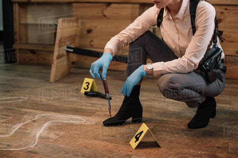 cropped view  female detective collecting evidence  crime scene stock photo dissolve